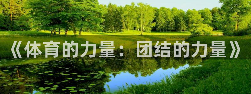 b体育必一运动官网