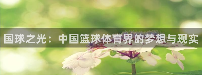 b体育必一运动官网