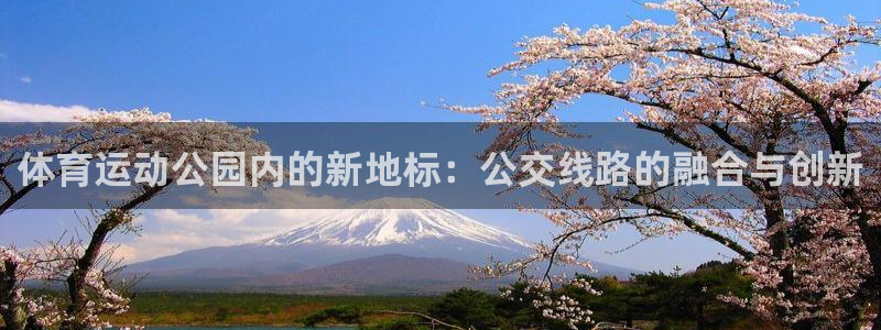 必一运动体育官网