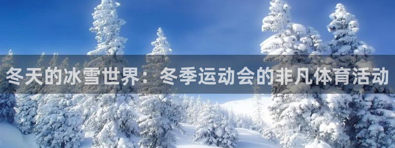 b体育必一运动官网