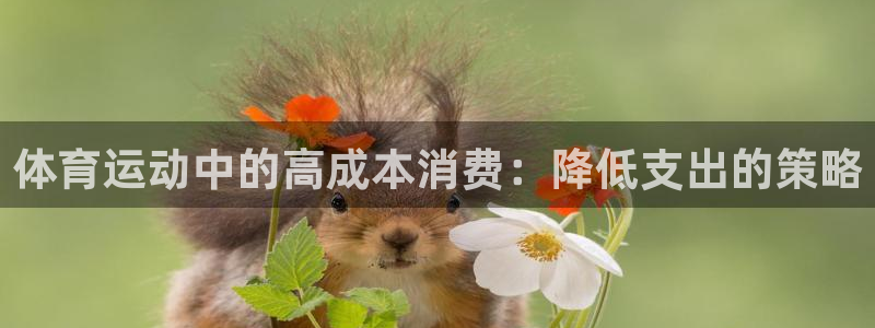 bsports官网 必一运动