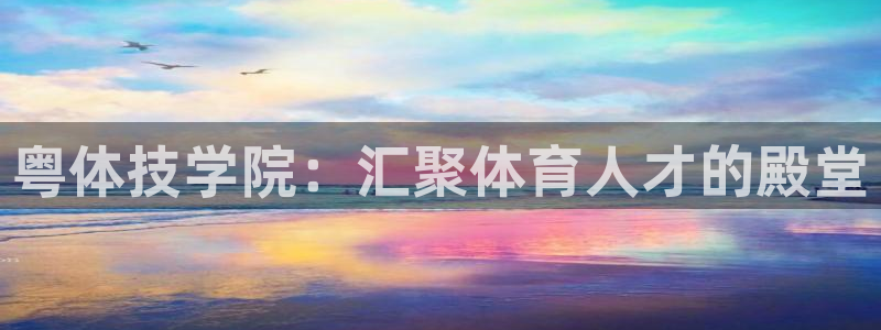 bsport必一运动