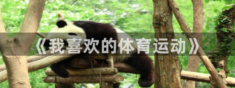 必一运动体育官网入口