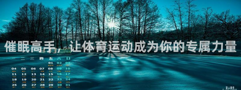 必一运动体育官网入口