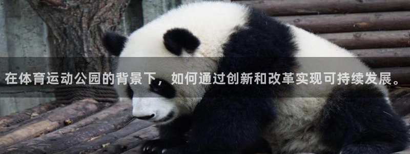 必一运动