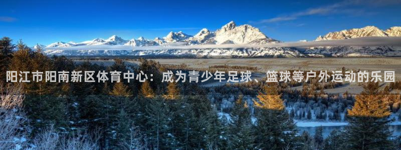 必一运动体育官网入口