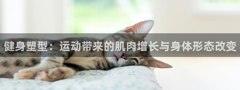 必一运动
